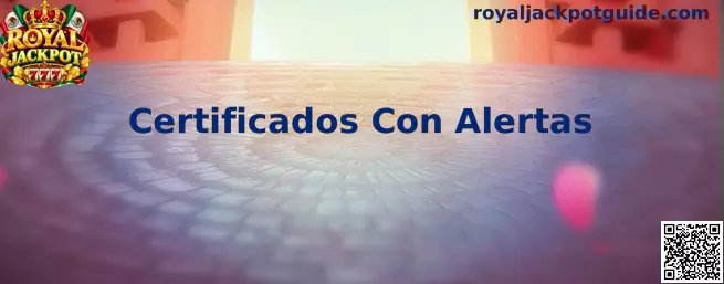 Certificados Con Alertas en Navegadores Web y Seguridad de Conexión